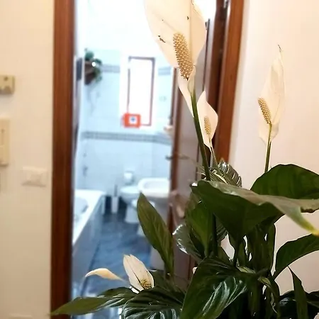 Al Colosseo Apartament Rzym