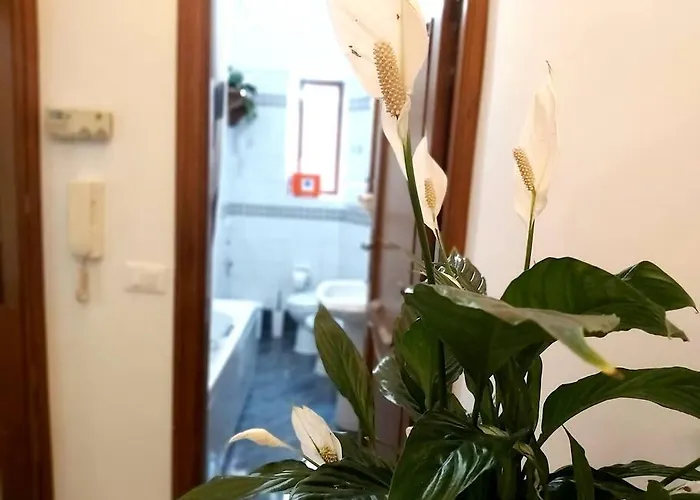 Al Colosseo Apartman Róma